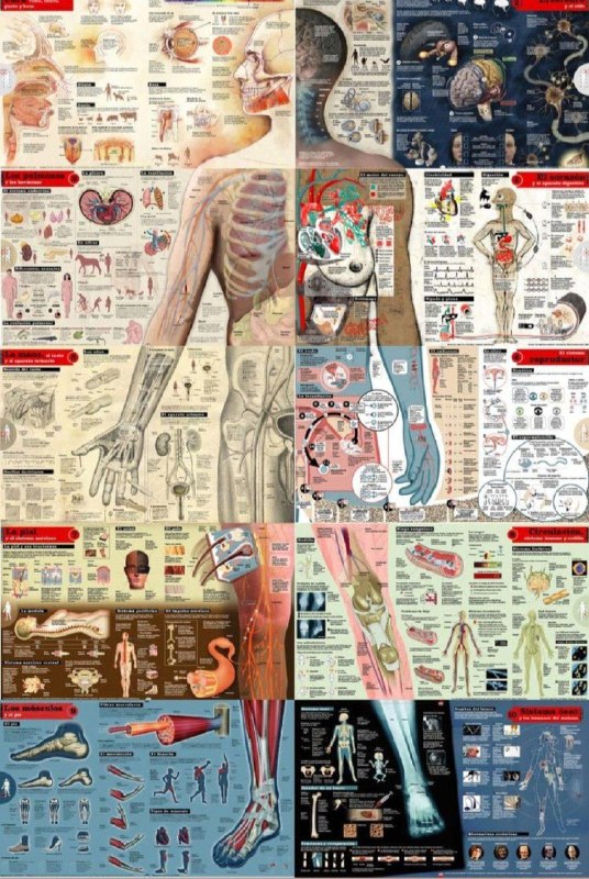 查理·芒格曾经说：“从长远来看，有系统思维的人比目标思维的人走的更远