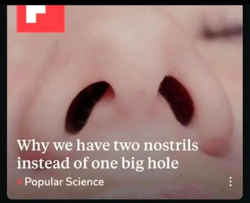 我们为什么必须有两个鼻孔？人类有两个鼻孔并不是随意设计，而是进化、生理和功能多方面的结果