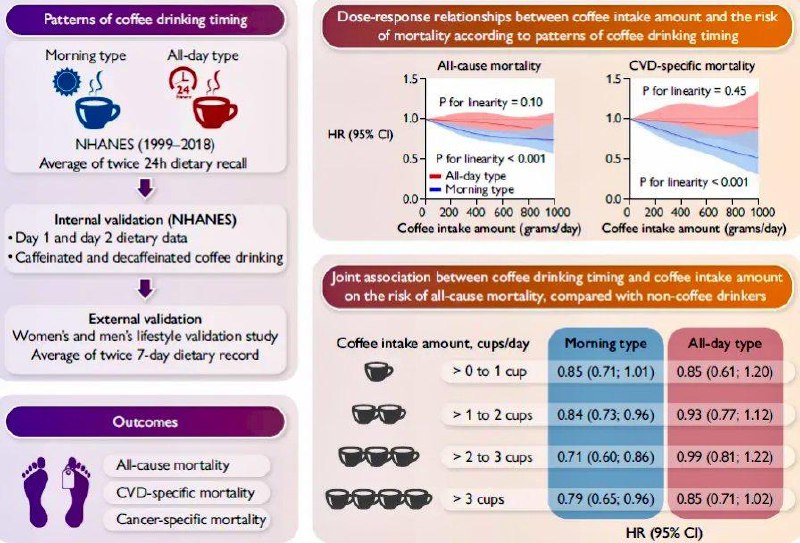 「健康科普：为什么上午饮用咖啡更好呢？」哈佛大学、杜兰大学祁禄教授团队在《欧洲心脏杂志》（European Heart Journal，IF=36）上发表了一篇题为" Coffee drinking timing and mortality in US adults "的研究论文