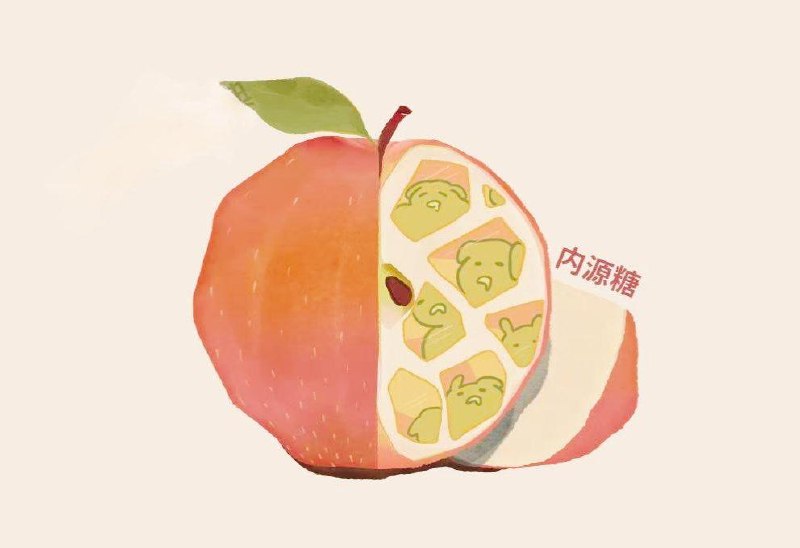 「医生提醒：绝不能用果汁替代水果！」水果榨成汁后，为什么会变得就不那么健康？这是因为：水果在榨汁时，细胞壁会被破坏，细胞内的糖分会游离到细胞外，变成游离糖