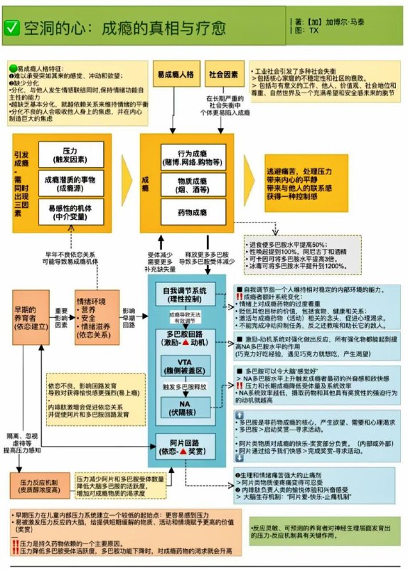 「一图读懂：成瘾的真相与疗愈」