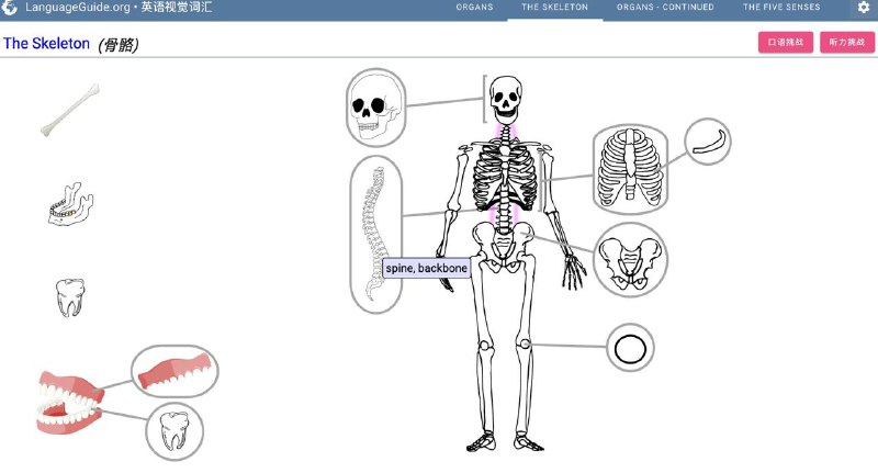 一个实用、界面友好的语言学习网站：LanguageGuide网站特色就是通过交互式语音指南探索外语词汇
