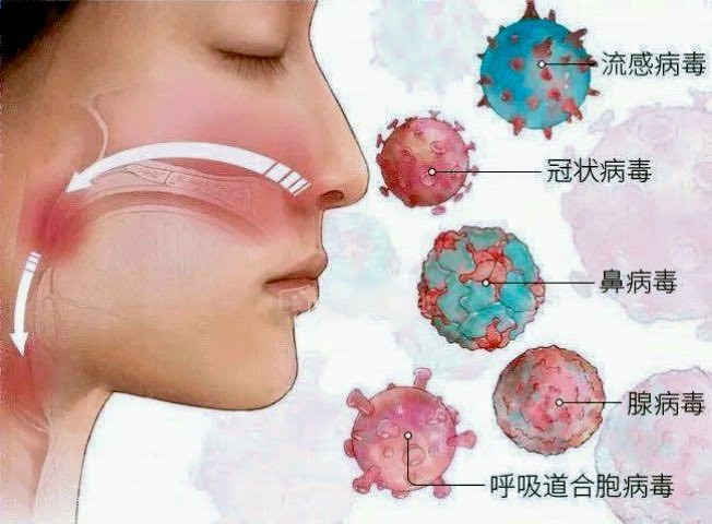 「医学科普：为何有些人一降温就感冒？」感冒是由病毒引起，主要透过飞沫、密切接触或接触被病毒污染的物体传播