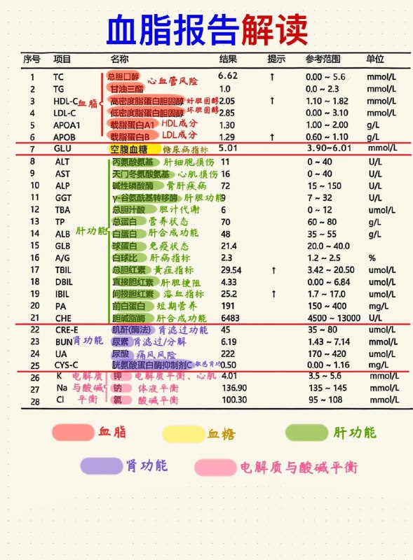 一张图看懂你的血脂报告