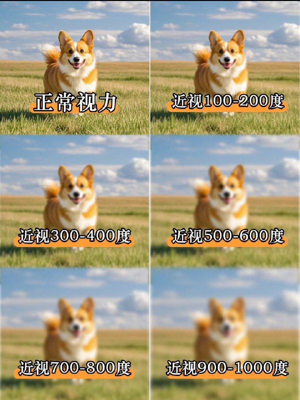 每一个近视眼都应该少吃糖？这是因为“甜”对视力的影响和眼睛的“巩膜”有关