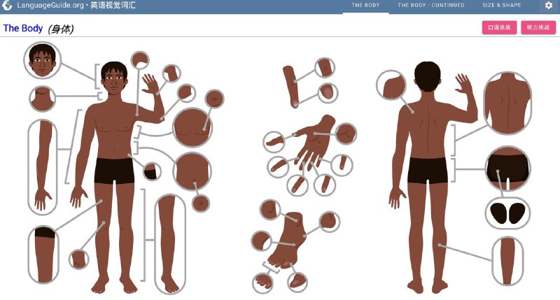 一个实用、界面友好的语言学习网站：LanguageGuide网站特色就是通过交互式语音指南探索外语词汇