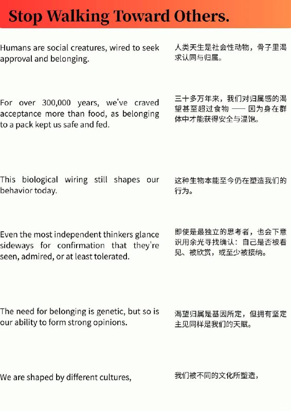 外刊精选 不再用力走向任何人外刊精选 不再用力走向任何人