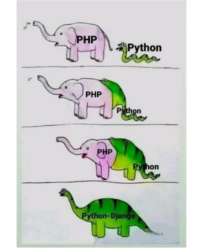 Python + PHP = Django