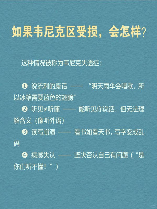 每天分享一个心理学知识|韦尼克区你有没有遇到过这种人：口若悬河、语气生动，但一句话都听不懂你认真提问，他却答非所问，像频道错位的收音机更诡异的是—他完全没意识到自己“胡言乱语”这不是故意捣乱，而是大脑「韦尼克区」（Wernicke's Area）受损后的真实症状—一种连患者自己都察觉不到的“语言解体”