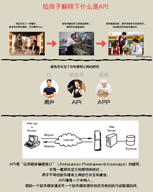 没事学点编程小知识：给孩子解释下什么是API
