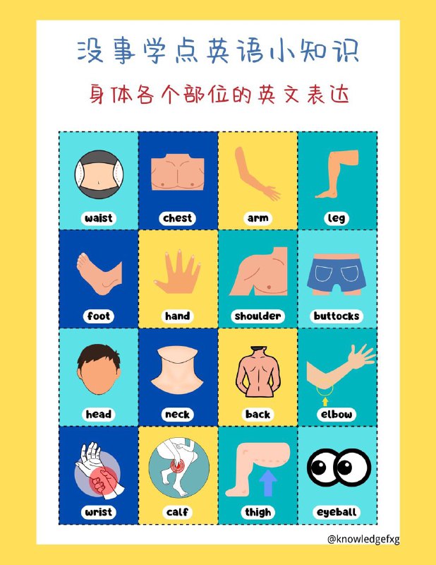 没事学点英语小知识：身体各个部分的英文表达#英语小知识