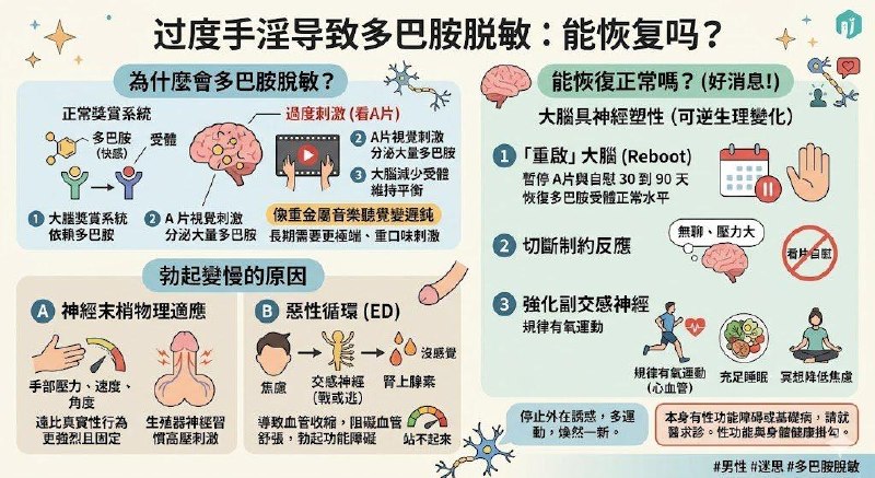 如果因为过度手淫导致多巴胺脱敏，进而导致看A片没有反应甚至勃起变慢的状况能不能恢復正常？想要这个问题我们首先要先理解为什么过度手淫会导致多巴胺脱敏我们的大脑的奖赏系统依赖多巴胺来产生快感