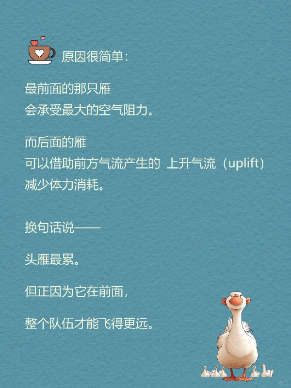 每天一个心理学知识｜头雁效应 🪶你有没有发现一个现象： 很多团队最后都会越来越像他们的领导