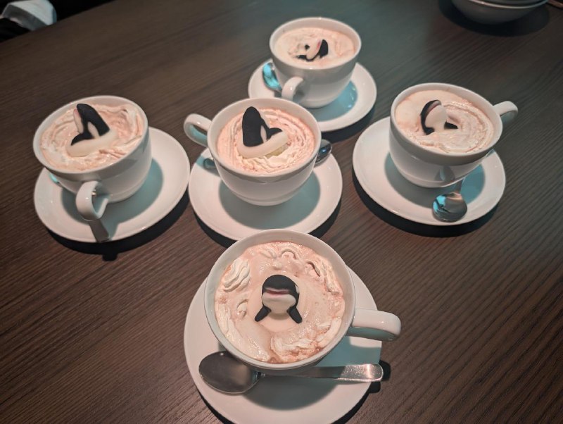 一群虎鲸，间谍跳跃可可名古屋港公共水族馆一群虎鲸，间谍跳跃可可名古屋港公共水族馆