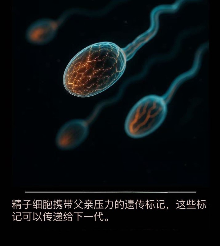 🧬父亲的故事不会随着他的离世而结束——它会在他的孩子体内，在分子层面上，再次书写