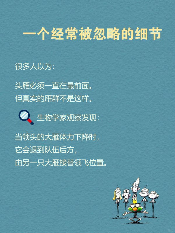 每天一个心理学知识｜头雁效应 🪶你有没有发现一个现象： 很多团队最后都会越来越像他们的领导