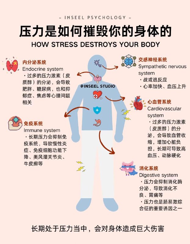 压力是如何摧毁你的身体的很多压力源其实是日常小事，最近国际知名网络市场调查机构OnePoll进行了一项民意调查，公布了其实我们多数的压力源是人们很少意识到的“小事儿”