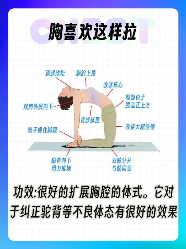 「健康科普：百练不如多拉伸 日常推荐的8个动作」运动结束别忘了做这一组，八个动作，拉伸全身