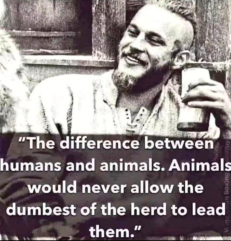 “人类与动物的区别：动物绝不会让种群里最愚蠢的个体来领导自己