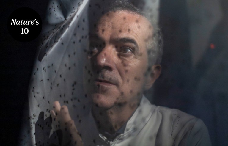 巴西科学家培育数十亿蚊子对抗疾病登革热等蚊媒疾病每年威胁全球数亿人健康，而巴西科学家卢西亚诺·莫雷拉正通过独特方法应对这一挑战