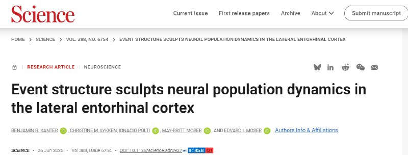 大脑中的“时间旅行”：记忆如何被“打点计时”？挪威科技大学的科学家们在《科学》杂志上发表了一项引人入胜的研究，揭示了我们大脑深处一个叫做“内嗅皮层”（LEC）的区域，是如何帮助我们记住事情发生的时间顺序的 