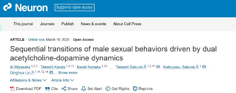 大脑"双节拍"指挥雄性交配：科学家破译羞羞行为的神经密码在一项于3月19日发表于《神经元》（Neuron）的研究中，由清华大学、北京生命科学研究所和筑波大学等机构的研究者研究了雄性小鼠在整个性行为过程直至射精期间的大脑活动