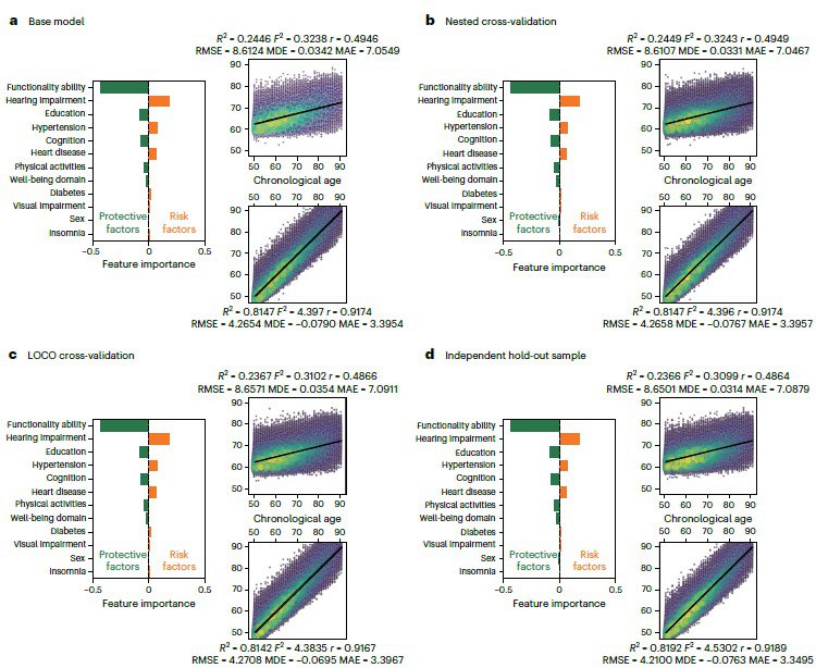 掌握外语的隐藏好处：或许可以延缓衰老！？除了运动和教育等熟知的因素，还有什么办法能延缓衰老？过去的研究结论不一 