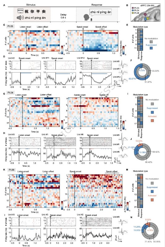 柔性电极让人类大脑“说话”更清晰：科学家首次大规模记录单神经元活动我们的大脑是地球上最复杂的器官，由数十亿个神经元通过电信号进行交流