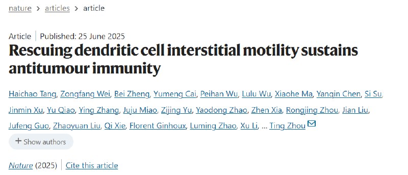 “伟哥”或许能增强抗癌免疫力！？一项最新研究发现，常用药物西地那非（俗称“伟哥”）或能通过改善树突状细胞（DCs）的迁移能力，从而增强机体抗肿瘤免疫反应 