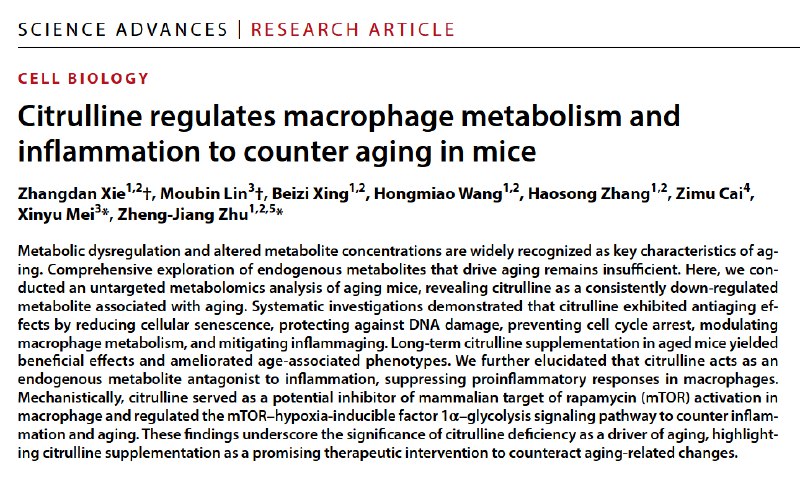“吃瓜”竟能续命？科学家发现西瓜里的神奇物质或能抗衰老！炎炎夏日，抱着西瓜“吃瓜看戏”是许多人的消暑乐事