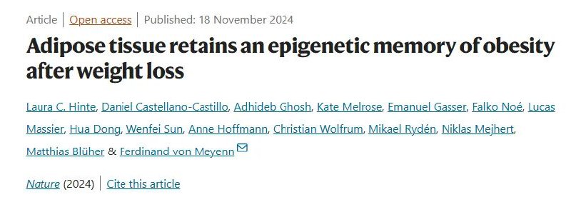 研究表明，即使在剧烈减肥后，身体的脂肪细胞仍会携带肥胖的“记忆”——这一发现可能有助于解释为什么在减肥计划后很难保持苗条