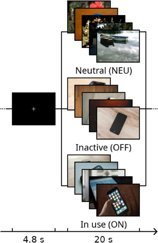 科学家发现：戒断手机 3 天，大脑奖励中枢更活跃近期发表于《计算机与人类行为》的一项研究揭示了短期限制使用手机对大脑的影响