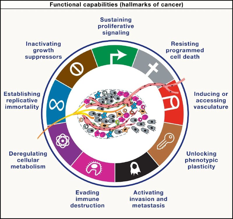 癌症标志物进化：从传统到精准治疗的未来图景癌症作为人类健康的“头号杀手”，其本质是细胞生长、分裂等关键生命过程失控