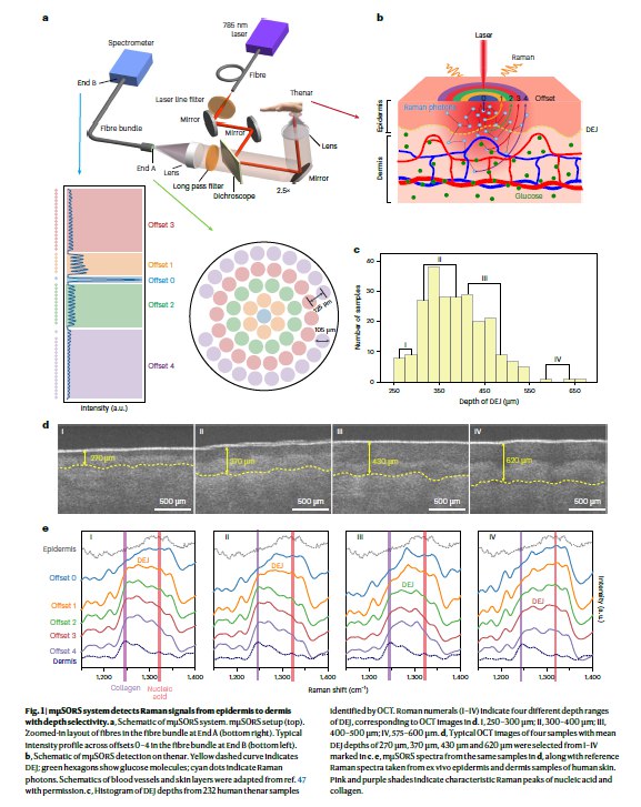 无需扎针！新型光谱技术实现无创血糖监测，准确率高达99.4%  近日，一项突破性的无创血糖监测技术——多重微空间偏移拉曼散射（mμSORS）光谱技术发表在Nature Metabolism，为全球数亿糖尿病患者带来了福音