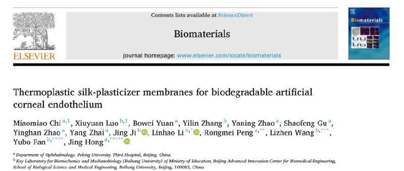 中国科学家用蚕丝开发出可降解人工角膜内皮！角膜内皮功能障碍是导致角膜盲的主要原因之一
