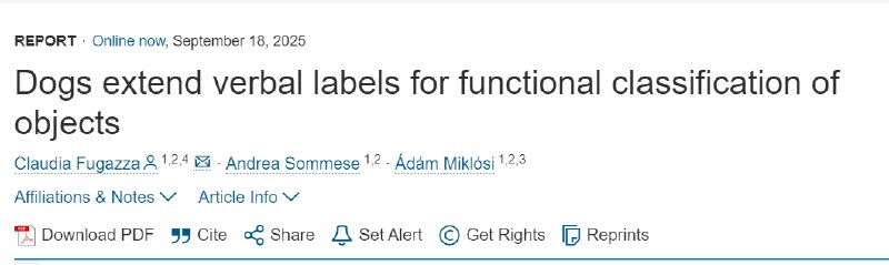 狗狗学词靠“看”还是靠“用”？新研究有了答案！一项发表在《当代生物学》上的新研究发现，一些被称为“天才学词犬”（Gifted Word Learner dogs）的狗狗，在学习玩具名字时，更关心这个玩具是“用来做什么的”，而不仅仅是“长什么样” 