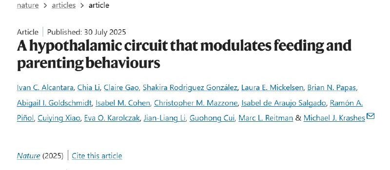 “先喂奶还是先吃饭？”——《自然》揭示哺乳期妈妈大脑中的“选择困难症”开关对于哺乳期的母亲而言，巨大的能量消耗带来了强烈的饥饿感，而照顾嗷嗷待哺的幼崽又是无法推卸的责任 
