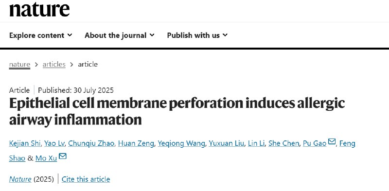 过敏原的“共同秘密”被揭开：《自然》发现它们会在细胞上“打孔”为什么花粉、尘螨等物质会让一些人产生剧烈的过敏反应，而大多数蛋白质却与我们相安无事？近日，一篇发表于《自然》期刊的论文，揭示了部分过敏原一个惊人的共同特征：它们都具备在人体细胞膜上“打孔”（形成孔道）的能力