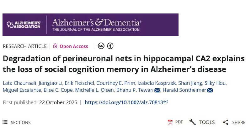 为何阿尔茨海默患者会最先遗忘亲人？对于阿尔茨海默病（AD）患者及其家庭而言，最令人心碎的症状往往不是计算能力的下降，而是逐渐无法认出至亲好友从而产生严重的社交隔阂 