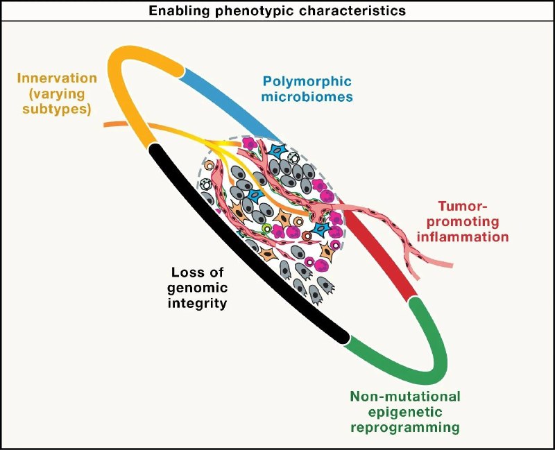 癌症标志物进化：从传统到精准治疗的未来图景癌症作为人类健康的“头号杀手”，其本质是细胞生长、分裂等关键生命过程失控