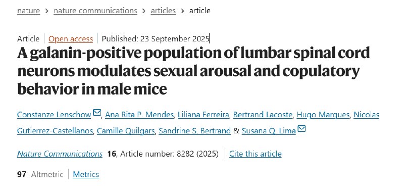 深度揭秘脊髓如何智能调控性行为长期以来，我们习惯于将大脑视为性行为的总指挥，而脊髓仅是执行最后一步的“开关”