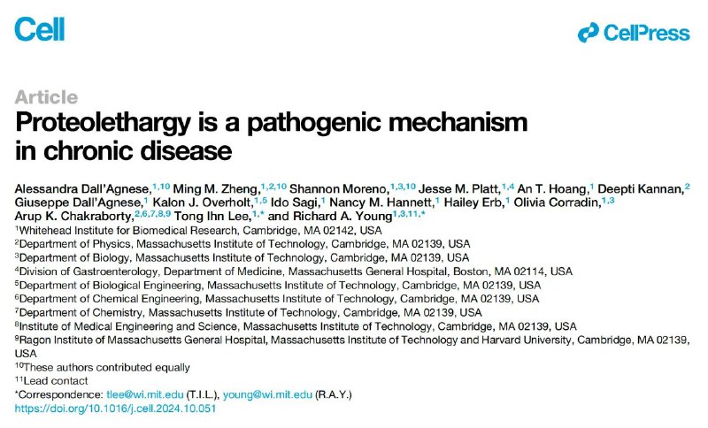 蛋白质“堵车”，可能是导致慢性疾病的罪魁祸首！2024年11月27日，美国Whitehead生物医学研究所的研究人员在国际顶尖学术期刊 Cell 上发表了题为：Proteolethargy is a pathogenic mechanism in chronic disease 的研究论文
