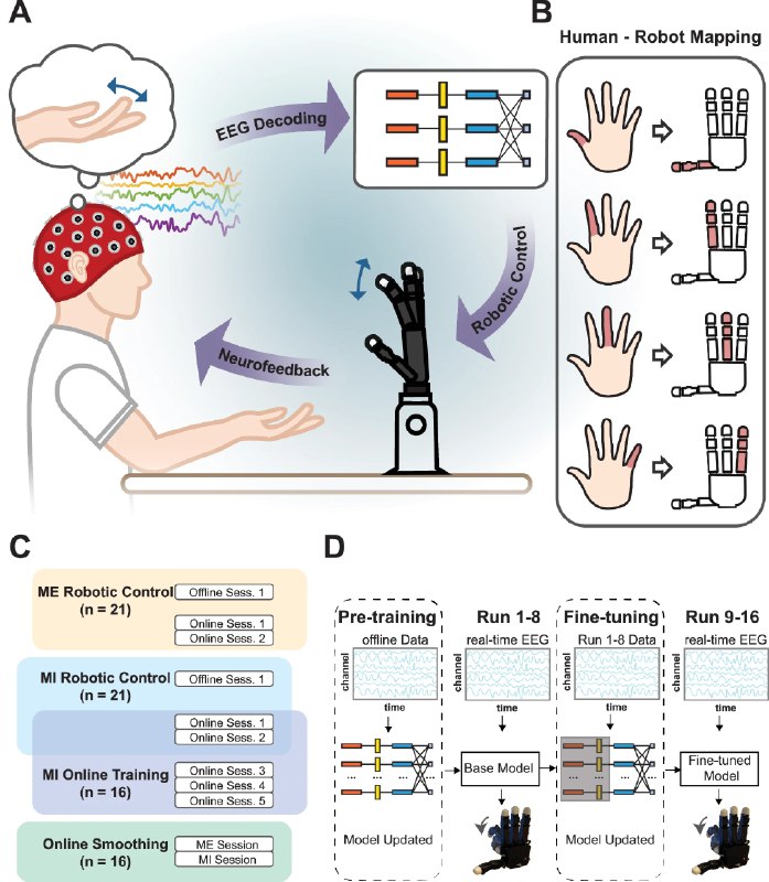 “意念控制”成真？新技术实现无创脑机接口精准控制机械手指控制机械臂不再是科幻片专属