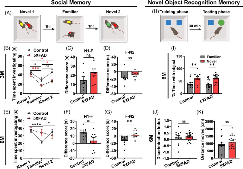 为何阿尔茨海默患者会最先遗忘亲人？对于阿尔茨海默病（AD）患者及其家庭而言，最令人心碎的症状往往不是计算能力的下降，而是逐渐无法认出至亲好友从而产生严重的社交隔阂 
