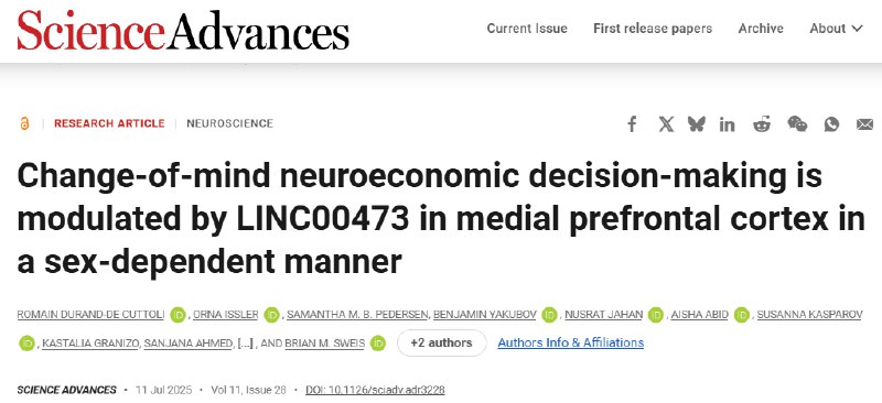 女生似乎更容易纠结？最新研究发现“纠结基因”变主意、后悔、纠结于“沉没成本”，这些复杂的心理活动背后隐藏着怎样的生物学机制？近日，一项发表于《科学 · 进展》的研究，将一种名为 LINC00473 的长链非编码 RNA，与大脑中“改变主意”的决策过程联系起来，并发现其作用存在显著的性别差异，这或许为日常生活中观察到的某些性别差异（例如女性有时似乎更容易陷入纠结权衡）提供了潜在的生物学线索