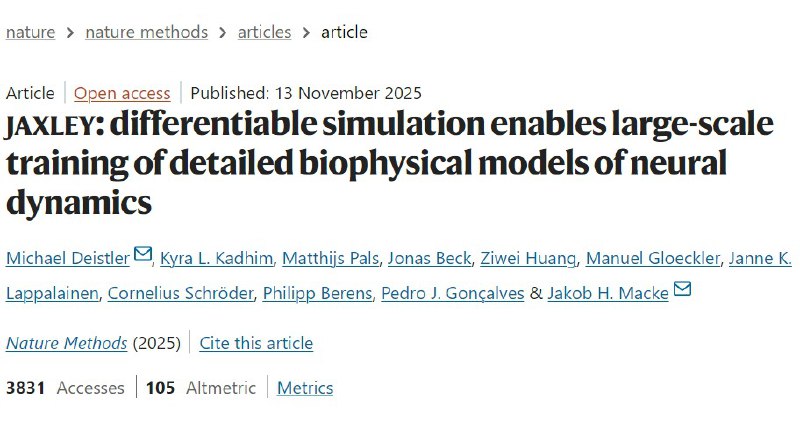 给虚拟大脑请位“AI调音师”：新算法让生物模拟不再靠猜想要在电脑里造一个逼真的“虚拟大脑”，最难的不是画出结构，而是调参