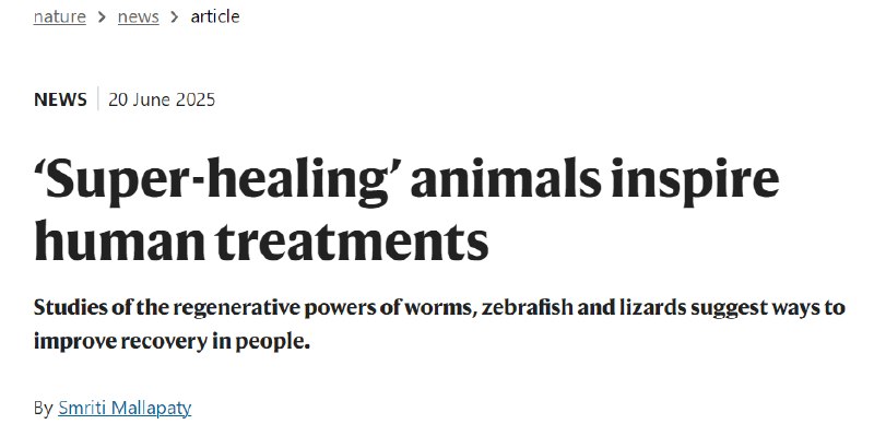 “超能力”动物：揭示再生的奥秘近日，《自然》（Nature）杂志报道了一系列研究人员在香港举行的国际干细胞研究学会会议上所分享的最新发现：科学家们正从拥有“超强治愈力”的动物身上汲取灵感，以期为人类再生医学带来突破
