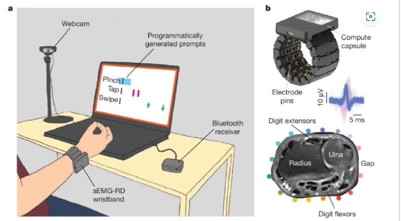 用肌电信号实现“隔空操作”：Meta发布通用神经运动接口腕带Meta公司在《自然》杂志上发表了一项突破性研究，展示了一种新型的非侵入式神经运动接口腕带