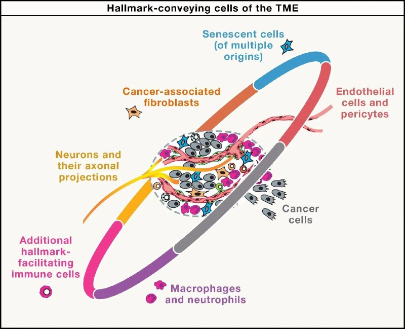 癌症标志物进化：从传统到精准治疗的未来图景癌症作为人类健康的“头号杀手”，其本质是细胞生长、分裂等关键生命过程失控