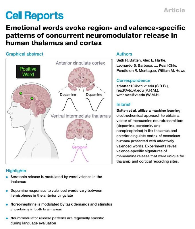 情感词汇如何触动大脑？研究发现神经递质释放新模式语言是人类独有的信息通道，我们不仅用词语交流思想，还赋予它们情感色彩
